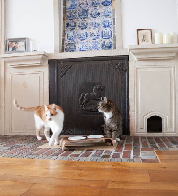Zwei Katzen vor einer catBar mit Porzellanschalen