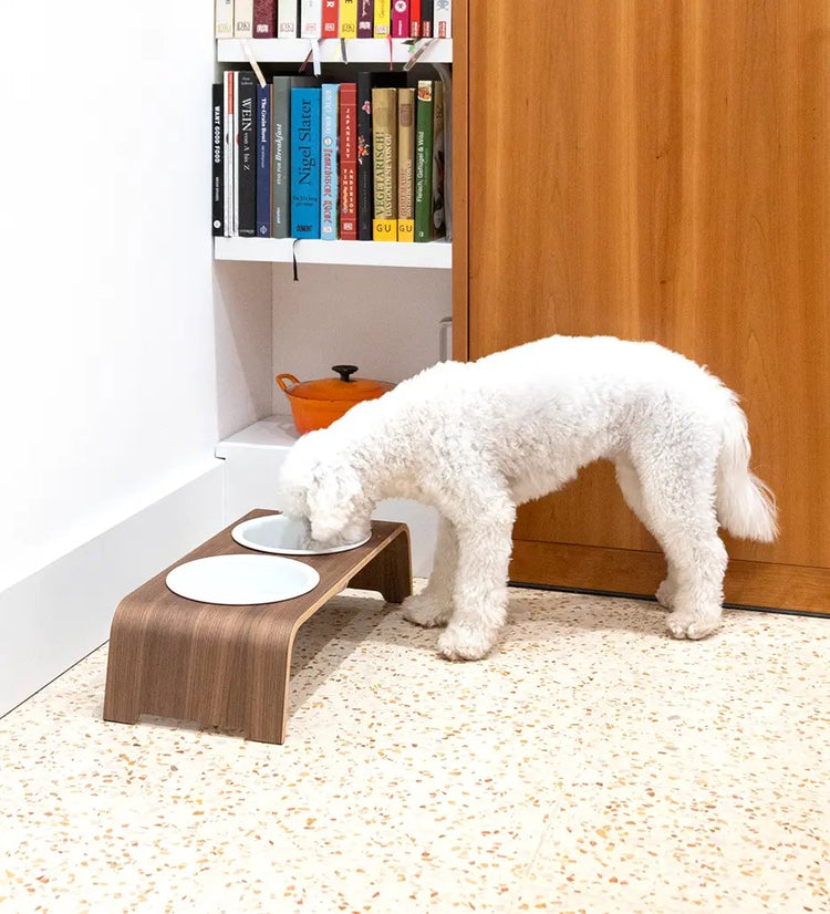 Ein Mops neben dogBar M small mit Porzellannäpfen
