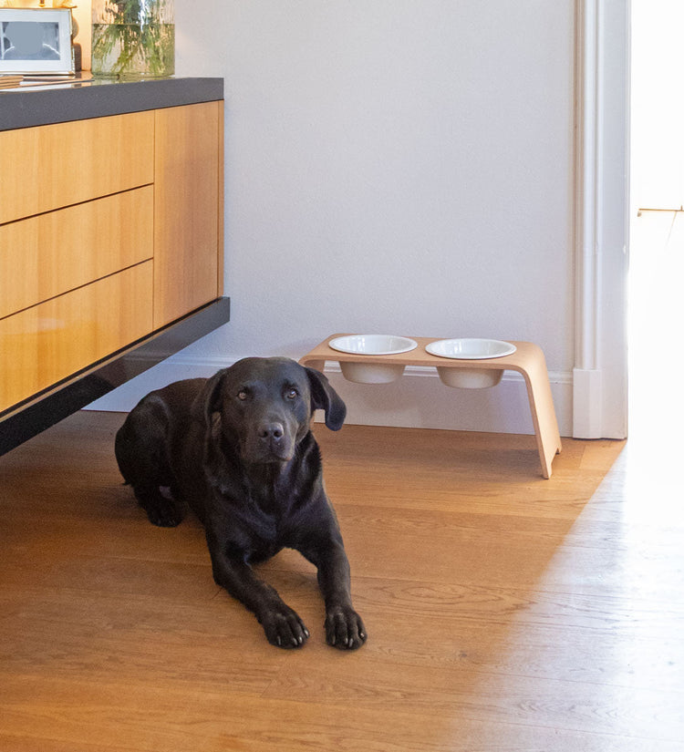 dogBar® M-large