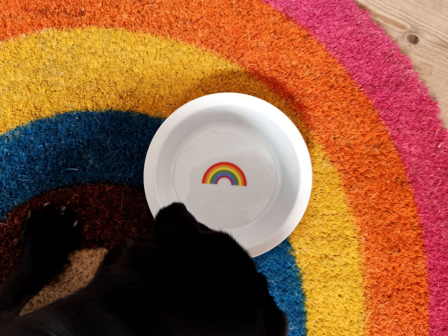 Surcharge rainbow in a porcelain bowl for the catBar®