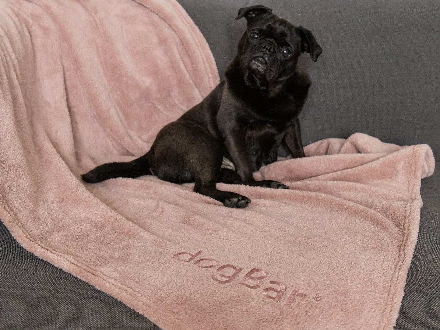 Fleece blanket antique pink with dogBar embroidery