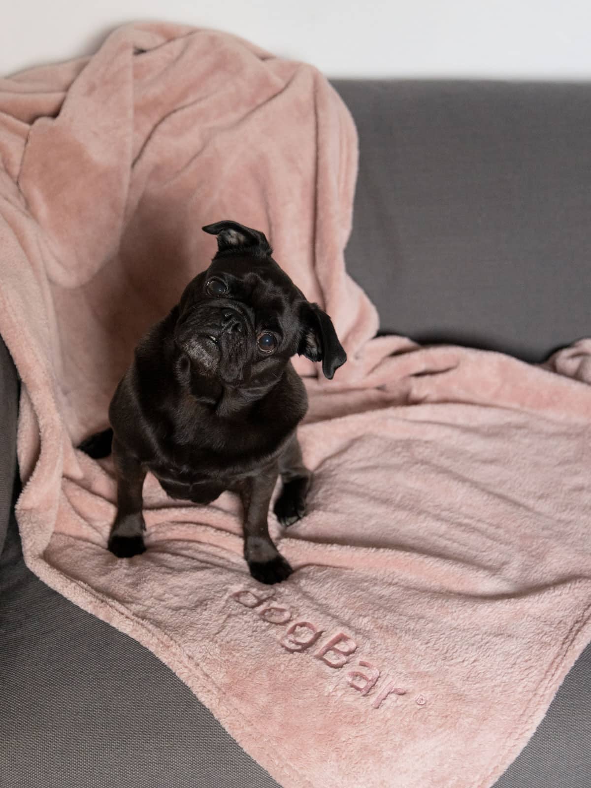 Fleece-Decke Antique Pink mit dogBar-Stick